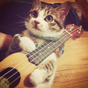 岳⋯好舒服⋯快⋯的有乱文
